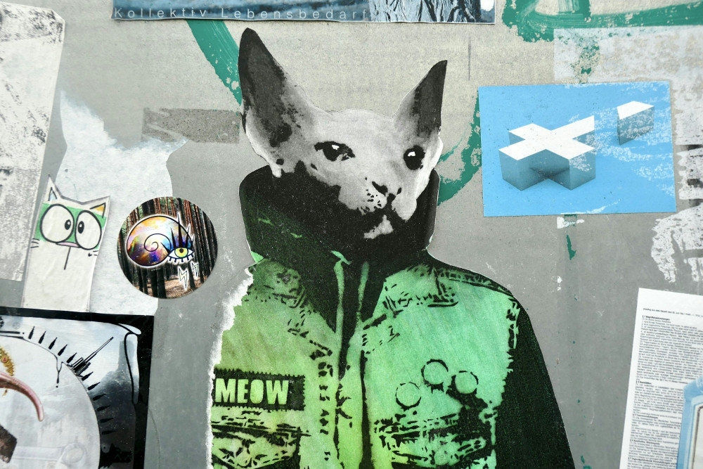 Julegaver, der vil overraske enhver med disse plakatdyr